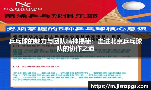乒乓球的魅力与团队精神揭秘：走进北京乒乓球队的协作之道