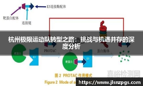 杭州极限运动队转型之路：挑战与机遇并存的深度分析